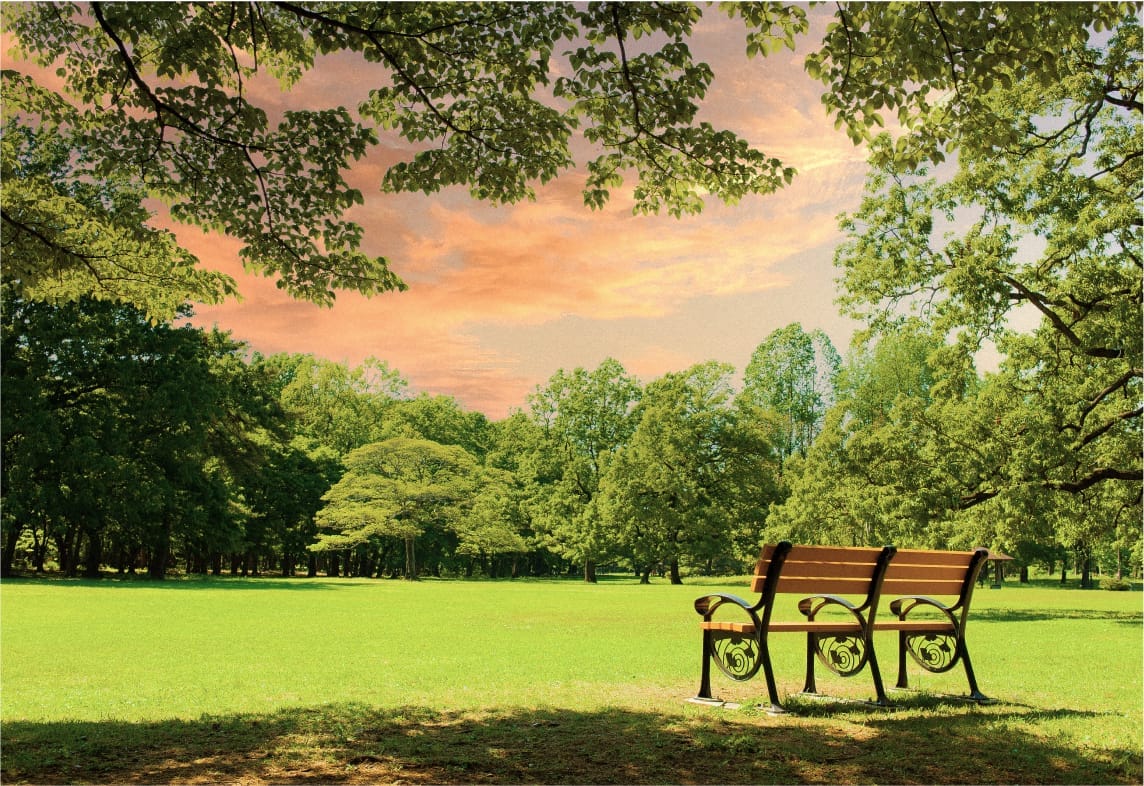 iStock 1239866717 1